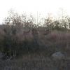 120916_020_buffalopound