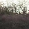 120916_021_buffalopound