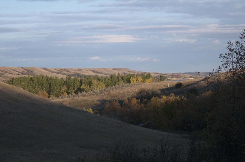 120916_025_buffalopound
