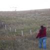120916_028_buffalopound