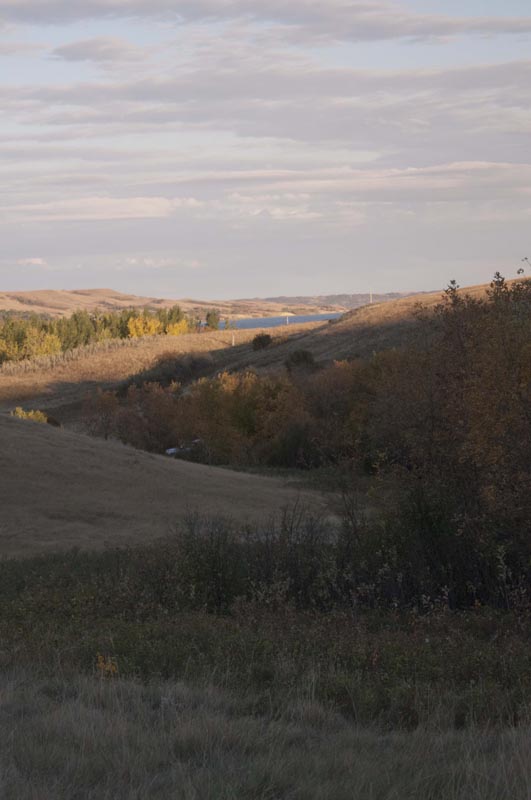 120916_030_buffalopound