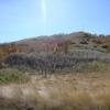 120917_009_buffalopound