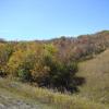 120917_011_buffalopound