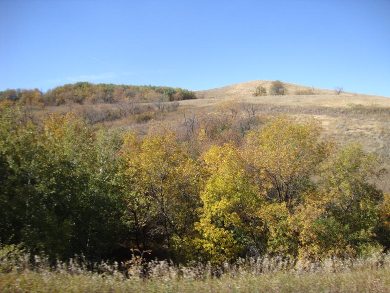 120917_012_buffalopound