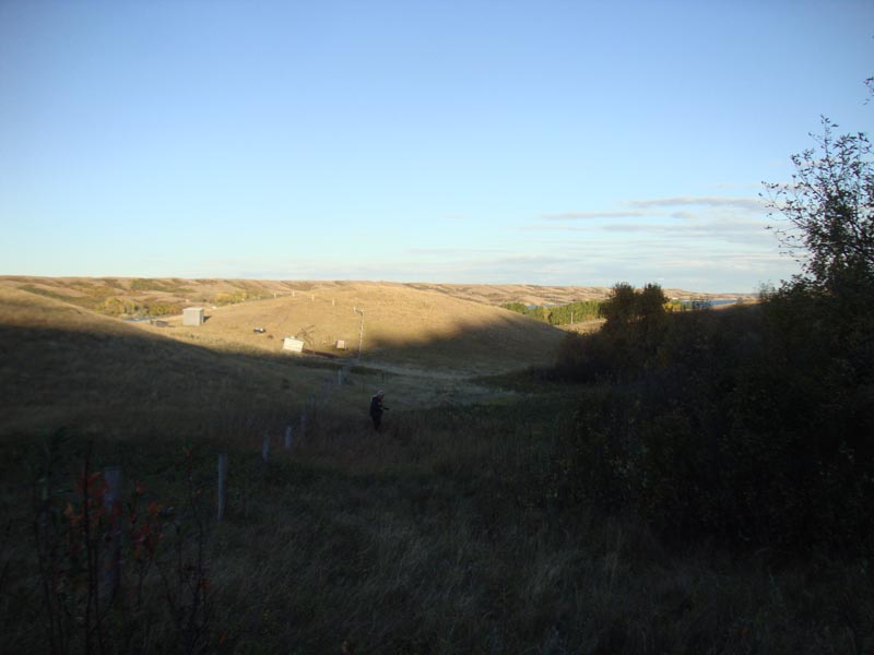 dsc04662