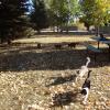 120921_001_moosejaw_prairieoasis