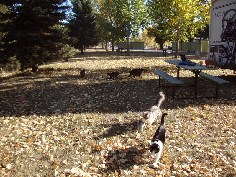 120921_001_moosejaw_prairieoasis