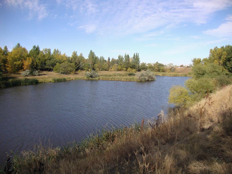 120922_002_moosejaw