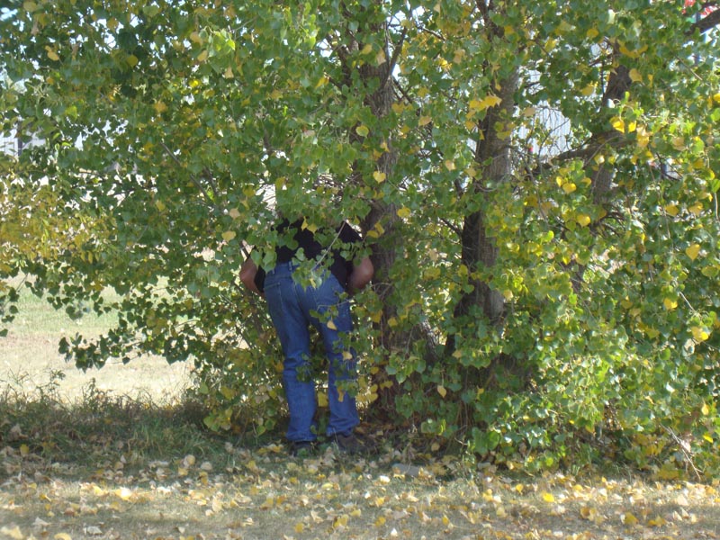 120922_004_moosejaw_geocaching