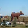 120922_006_moosejaw