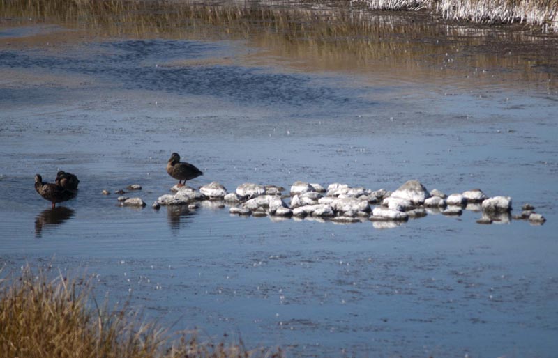 120922_007_highway1