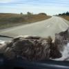 120922_017_highway1