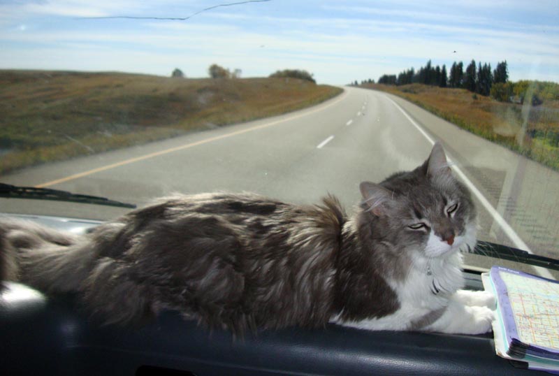 120922_017_highway1