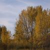 120922_024_highway1