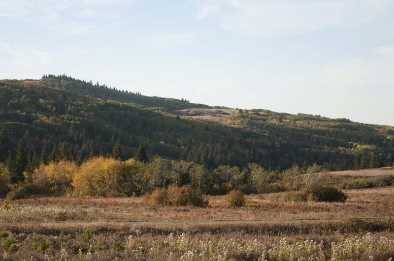 120922_033_cypresshills