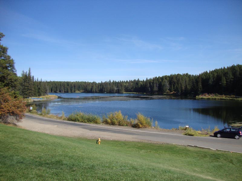 120923_005_cypresshills