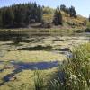120923_008_cypresshills