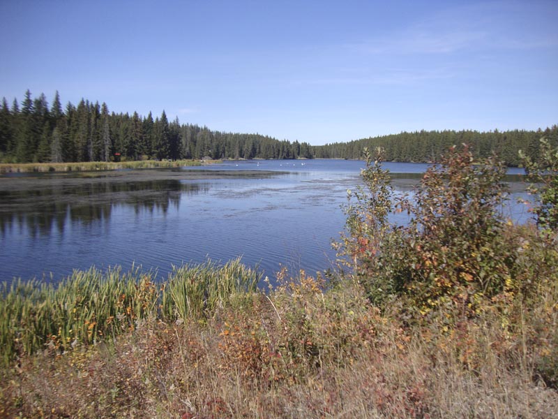 120923_016_cypresshills