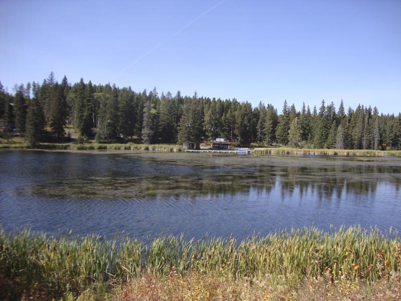 120923_017_cypresshills