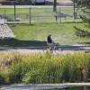 120923_021_cypresshills