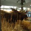 120923_032_cypresshills