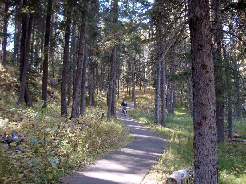 120923_037_cypresshills