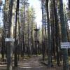 120923_054_cypresshills