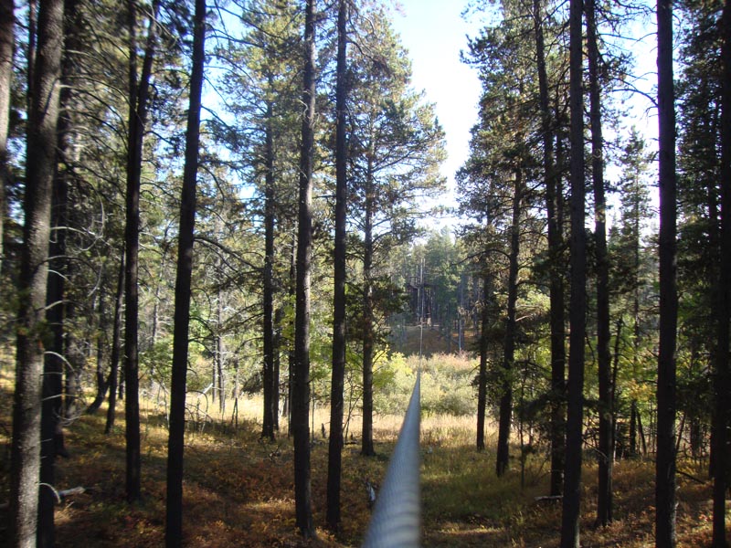 120923_060_cypresshills