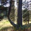 120923_063_cypresshills