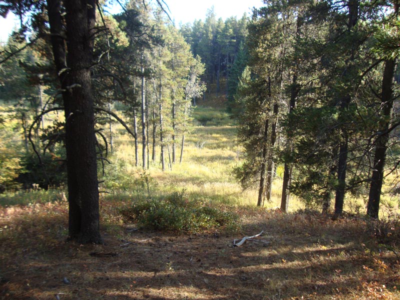 120923_065_cypresshills
