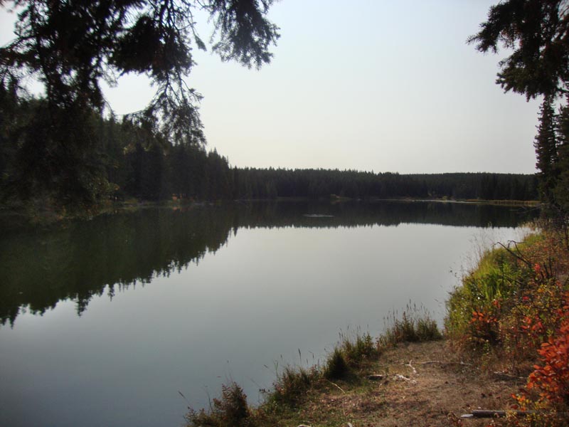 120924_002_cypresshills