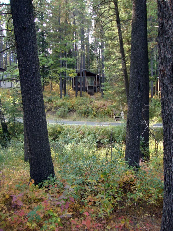 120924_012_cypresshills