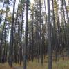120925_005_cypresshills