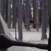 120925_031_cypresshills_moose