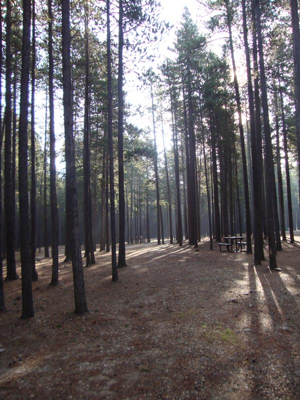 120927_015_cypresshills
