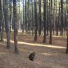 120927_021_cypresshills