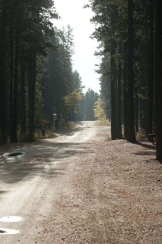 120927_027_cypresshills