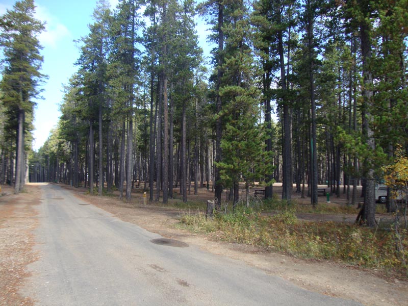 120927_028_cypresshills