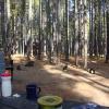 120927_029_cypresshills