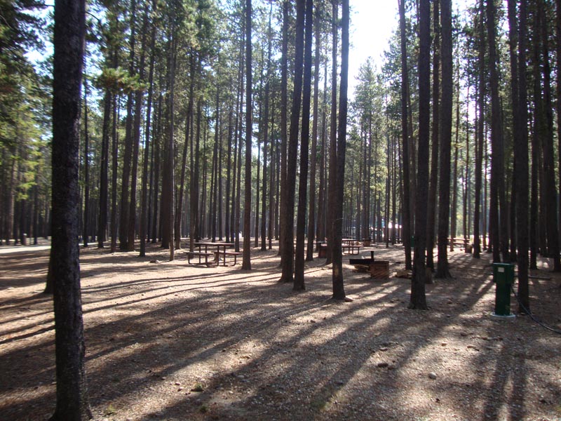 120927_037_cypresshills