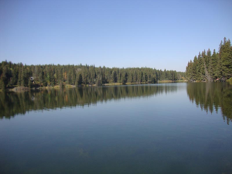 120927_041_cypresshills