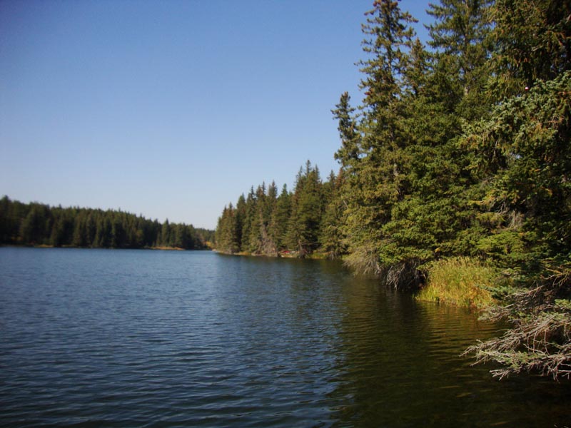 120927_048_cypresshills