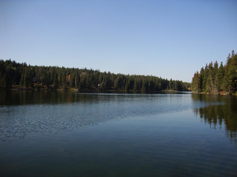 120927_049_cypresshills