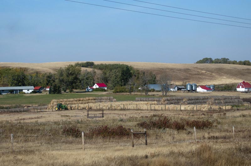 120928_006_cypresshillsarea