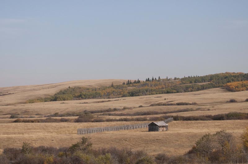 120928_008_cypresshillsarea