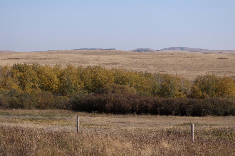 120928_009_cypresshillsarea
