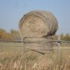 120929_001_saskatoon