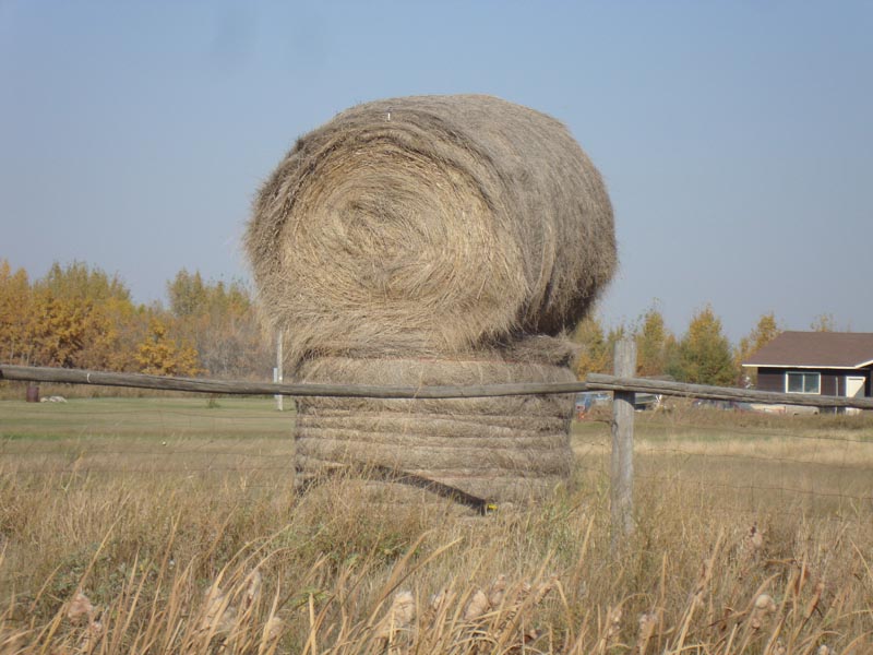 120929_001_saskatoon
